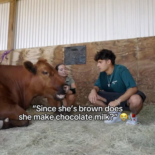 “Does she make chocolate milk?” 😭🥀
Twitch - StableRonaldo
#stableronaldo