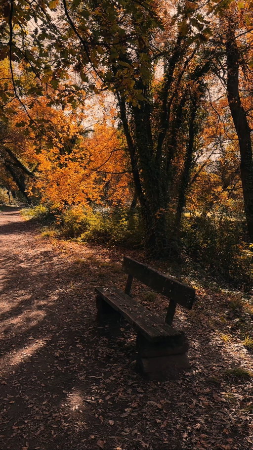 Can you believe it? The ber months are officially starting on Monday, and I honestly can’t contain my excitement! 🍂✨ Despite a challenging summer, time has flown by so quickly, and now we’re just days away from the coziest stretch of the year. These next four months (September through December) are my absolute favorite. The crisp mornings, warm drinks, orange leaves, and of course, all the magic leading up to the holidays.

That time of year it’s clearly the coziest! It’s like the world slows down just enough for us to soak in the little moments: cozy nights in, candlelight, baking sessions, and the anticipation of everything festive that’s yet to come. For me, fall feels like a warm hug after a long day, and the best part? Christmas is right around the corner.

Here’s to the season of slowing down, creating cozy spaces, and finding joy in the simple things. 🍁 Are you ready for the ber months? Because I definitely am!
.
.
.
.
#fallseason🍁 #fall2025 #fallcountdown #bermonths #september #septemberdays #fallmood🍁 #fallvibes🍁 #falldays🍁 #falliscoming🍁 #falldays #fallismyfavorite #fallaesthetic #falliscoming #fallmood #fallgirl #fallvibes #fallseason #autumndays🍁🍂 #autumnseason🍂🍁 #autumnleaves🍁 #autumncore #autumniscoming #autumndays #autumngirl #autumnaesthetic #autumnvibes #autumnseason #autumnmood #autumnvibes🍁