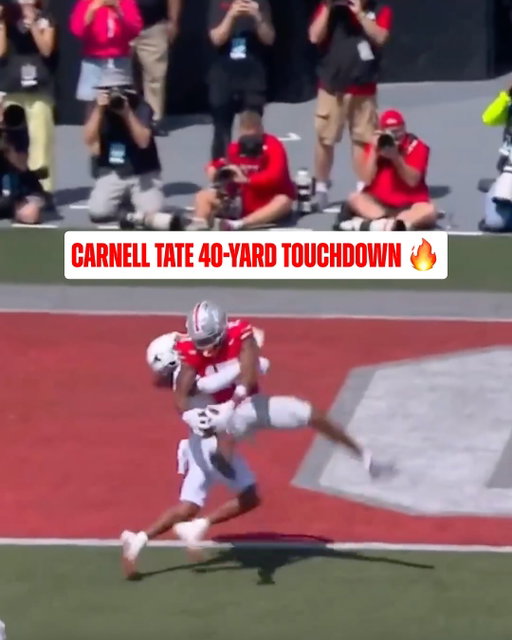 Carnell Tate with a big time TD catch 👏

(via @cfbonfox)