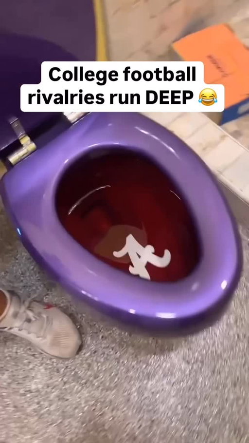 Opening the LSU themed toilet to an Alabama logo is unreal 😂