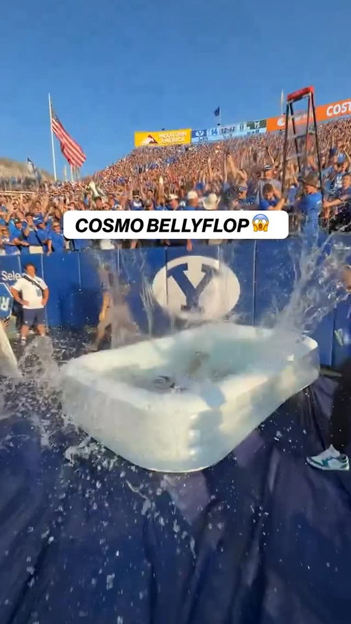 Cosmo is always up to something 🤣

(via @cosmo_cougar)