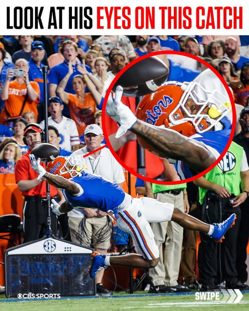 Eyes on the prize 🔥🔥

📸: Florida Football