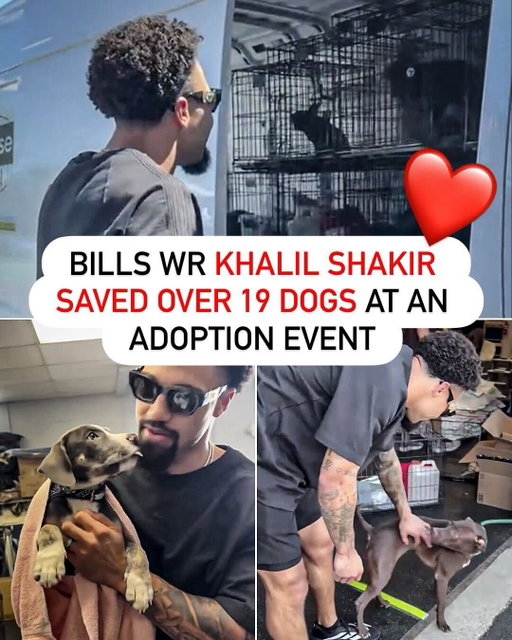 Khalil Shakir helped save 19 dogs from euthanasia ❤️

He showed up with his mom and two best friends helping the rescue put on one of their most successful adoption events 👏

(via @nickelcitycaninerescue)