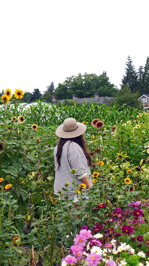 Save this list: ⬇️ The most fun things to do this September in Seattle. 
.
Those of you who subscribe to my weekly newsletter know I send out a reminder of all the Seattle food, drink, and maker-focused events happening that week. To help you make it easier to plan in advance, I thought I’d start a new series on the blog rounding up all the best things to do each month. It’ll include events and festivals, but also fun ideas for making the most of what makes that month special.
.
September’s roundup includes these kinds of events that I’m looking forward to:
.
- Sunflower festival season
- The wastatefair
- A bunch of art and food festivals
- Broadway, dance, and music performances, including a series by candlelight
- Cultural and film festivals
- Boat and farm festivals
- And more!
.
Get the full list via the link in my bio @emeraldpalate or directly here ➡️ https://www.emeraldpalate.com/best-things-to-do-in-seattle-in-september/
.
What else is going on in September? Let me know in the comments so I can keep the article up to date! #seattleevents #seattlelocal #pnwtravel