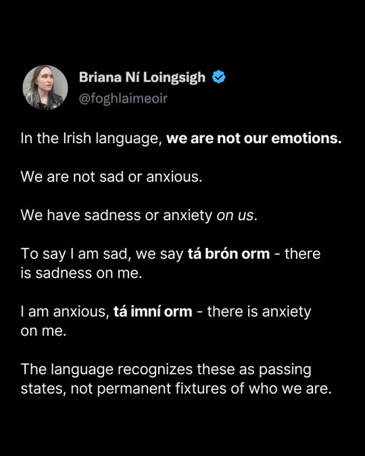 I saw this on Substack and loved it.

There's a big difference between feeling your emotions and being your emotions.

The former is healthy.
The latter, not so much.

Because when you start saying things like “I am anxious” or “I am lazy,” you're not just describing a passing state.

You're telling yourself a story about who you are.

You're turning a temporary feeling into a permanent fixture of your identity.

And the more you repeat this story, the more it becomes a self-fulfilling prophecy.

A small shift in language helps break that loop.

P.S. Anxiety disorders are real (I know from experience). This reframe doesn’t solve that, but it can still help.