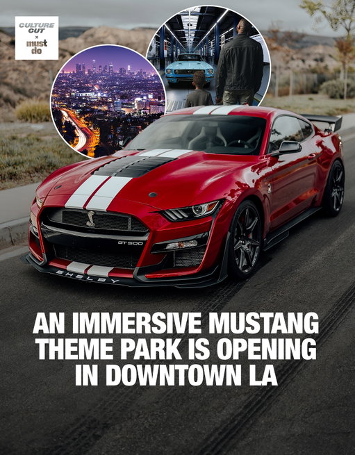 Los Angeles is getting a Mustang takeover.

Opening Nov 8, American Icon: A Mustang Immersive Experience will bring 60 years of Mustang history to life with 4D rides, multi-sensory sets, and iconic movie Mustangs.

This promises to be a full-on cinematic ride through pony car history.

Would you pull up for this?

Follow @culturecutdrive and @mustdolosangeles for exclusive original content, giveaways, and more of the good stuff you just saw.

Media via Fever / Mustang Experience

#culturecutdrive #mustdolosangeles