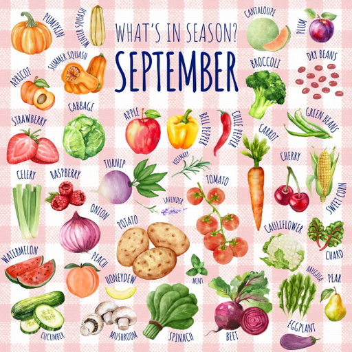 September is bursting with in-season produce, we could barely fit it all on one page! 🙃 Look for the Colorado Proud logo to shop local.

Download the Colorado Proud Produce Calendar (🔗 in bio)
___________________________________________________

Septiembre está repleto de productos de temporada, ¡apenas caben en una página! 🙃 Busca el logotipo de Colorado Proud para comprar productos locales. Descarga el Calendario de Productos agrícolas de Colorado Proud. (🔗 en la biografía)