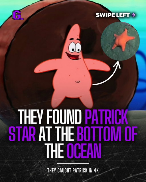 Argentinian scientists were exploring 1300 meters below sea level randomly spotted a sea star that many say look exactly like Patrick from Spongebob Squarepants👀

#spongebob #patrickstar #trending #explore