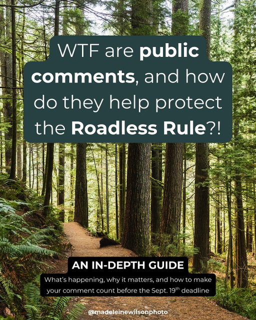 PUBLIC COMMENT PERIOD IS NOW CLOSED ❌

Public comments are not just a numbers game! Please take the time to leave a thoughtful comment that’s specific, personal, and data-backed. The current public comment period ends Sept. 19, 2025, so please help us spread the word. We already have nearly 16,000 comments submitted in the first five days, but we can do better than that!

Take action now: Submit your comment to regulations.gov (docket FS-2025-0001-0001). You can also scan the QR code in the slideshow or click the link in my bio to go directly to the comment page. 

I have a longer, more in-depth post about all of this on my blog as well. 

NOTE: I am not being paid or incentivized in any way to post this. 

SOURCES ARE ON THE LAST SLIDE!

#roadless #roadlessrule #protectpubliclands #publicland #publiclandowner #nationalforests #nationalforest #protectourforests