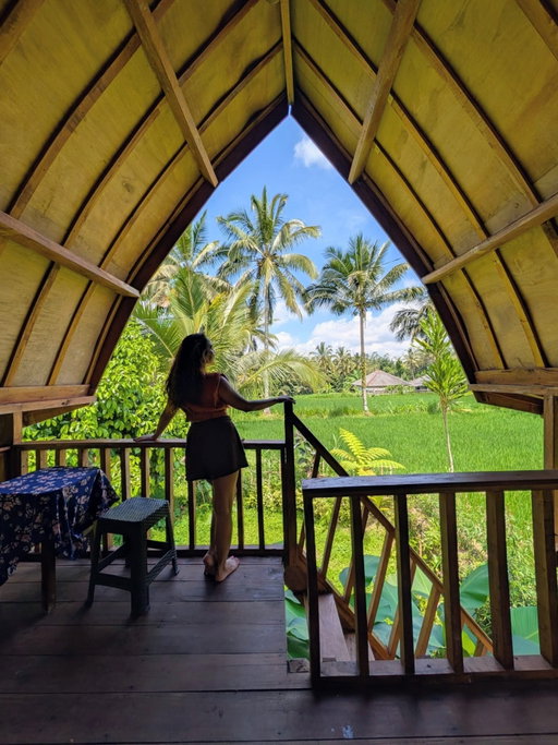 Lived in a farm village for a few days. No alphards, no pickleball, no malls nearby. The place is called Tetebatu, which reminds us a bit of Ubud without the crowds. Good destination if you're looking for an escape into nature for a couple of days

📸 @googlepixel #pixel10pro