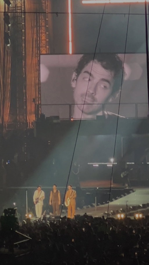 The summer I went to the @jonasbrothers concert for my birthday! 

Call me Belly and send me to Cousins Beach because I can’t choose 🤷‍♀️

#jonas20 #jonasbrothers #jonasbrothersconcert #thejonasbrothers #torontoconcert #tsitp
