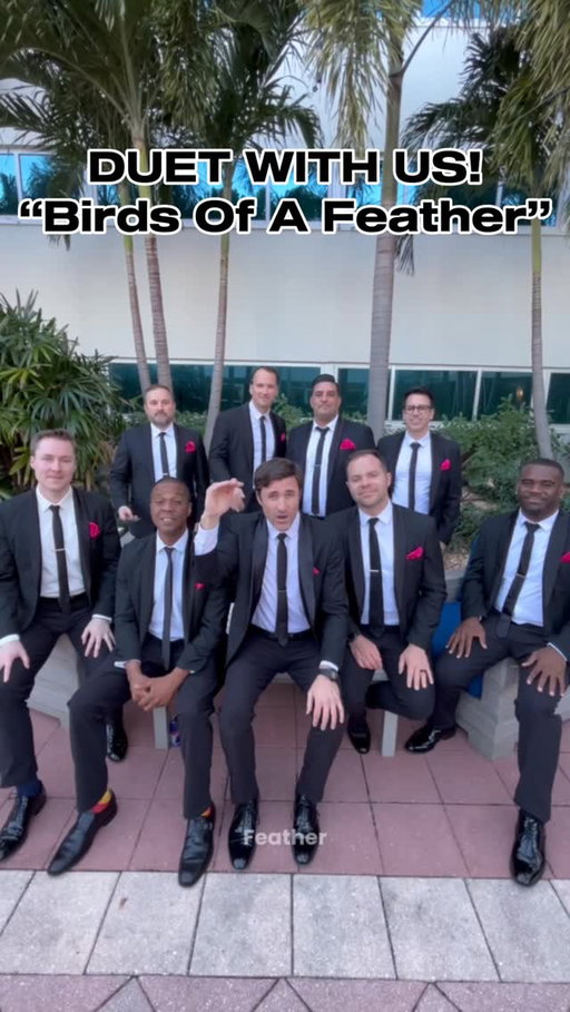 #duet with us! Sing the lead on #BirdsOfAFeather by @billieeilish and we’ll back you up! Then grab your tix to see us on tour! #acappella #straightnochaser #sncmusic