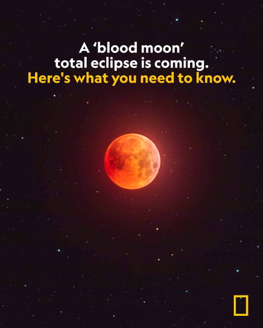 This weekend brings us a celestial spectacle—a 'blood moon' total eclipse. Living up to its popular name, the moon will turn a coppery red during an 82-minute eclipse. Thanks to its visibility across densely populated regions, the majority of the world’s population will get to witness it firsthand and without specialized equipment.

Find out everything you need to know to see it at the link in bio. 

Photograph by Alan Dyer, VWPics/Redux