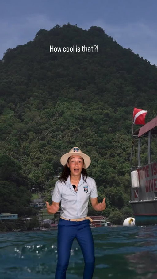 Season is back 🤙🏽 you know what that means, PHISHY PHINDS!!! 🐠 This past summer I had the pleasure of dunking my face into the crispy cool rivers of Dominica 🇩🇲🌋 to find waterfall climbing gobies. Had to share how impressive these little critters are 🧗🏽‍♀️ Hope you enjoy! 💙

If you’re up for a challenge, join the Phishy Phinds Philm Contest! 🎥🦑 See a cool animal doing something phunky? 🕺🏽 Philm it! And tag me in your story with #phishyphinds #openwater 

The most phun video will be announced on September 30th 🍄🍁 and the winner will receive a limited edition Marine Ranger Playing Card! Can’t wait to see what you Phind! 🐡🔍

Special thank you to Open Water for their commitment to healthier oceans! 🌊 @drinkopenwater