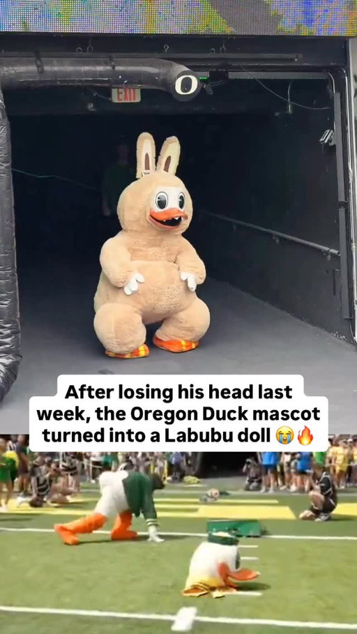 Oregon Duck 🤝 Labubu doll 

(Via @briamaranthus)

#cfb #collegefootball #football #college #labubu