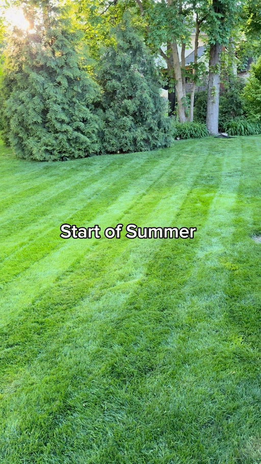 This summer, all the best days happened out here.