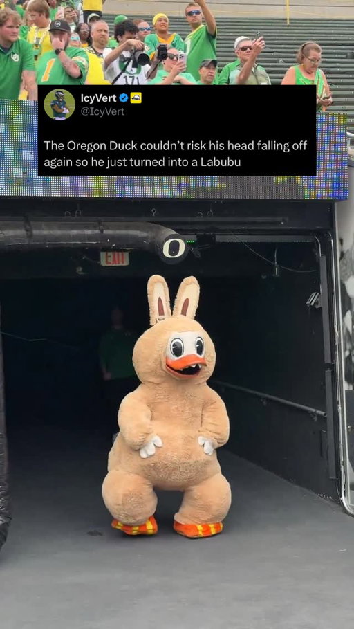 Breaking: The Oregon Duck is now a Labubu

h/t briamaranthus