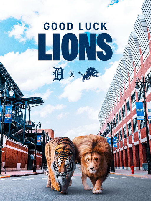 eat ‘em up, @detroitlionsnfl