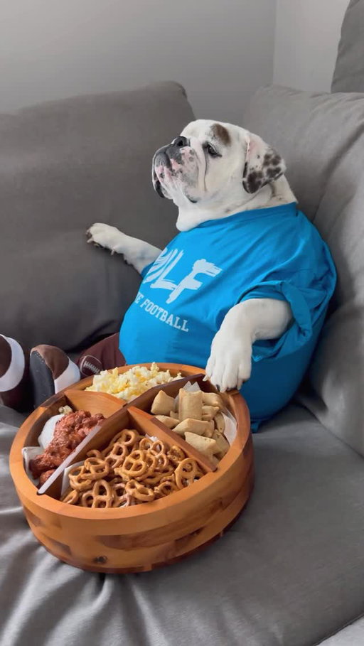 Lazy Susan needs to refill my lazy susan....🥨🍟🍕🌭 Who else is excited that #football is back?? 🙌🏻🏈.
.
.
#eggnog #eggnogthebulldog #asmreating #asmrsounds #dogmemes #dogreels #dogsofig #dogsofinstagram #englishbulldogs #pubityreels #9gag #weeklyfluff #woofwoof #dog #dogs #footballseason #footballislife