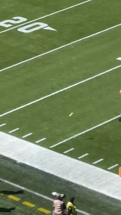 Green dildos are officially a problem in all sports #nflmemes