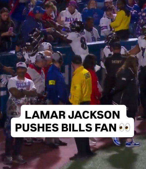 These fans getting a little bold