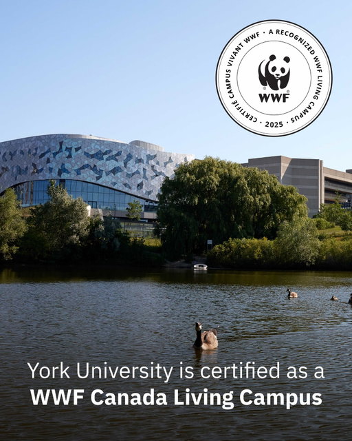 For the second consecutive year, the World Wildlife Fund Canada (@wwfcanada) has recognized York University with its Living Campus certification, highlighting the University’s ongoing commitment to environmental leadership and sustainability.