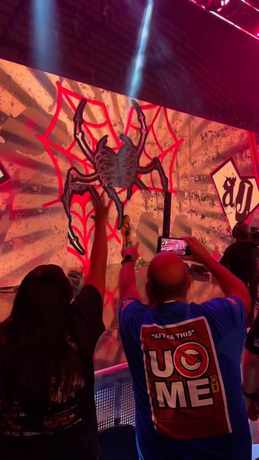 THE BEST SMACKDOWN OF ALL TIME. #wwe #ajlee #smackdown