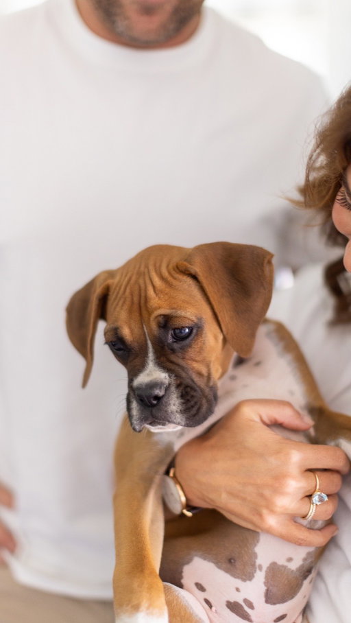 Mornings around here are a little wilder with this sweet little guy added to the mix 🐶 If you know our family, you know that our animals are everything to us, so that’s why we’re making sure Churro gets a strong start with @royalcanincanada’s Large Puppy Food. It’s designed to support healthy growth, brain development, and a strong immune system for large breeds like him. We even mix in their wet food to keep him hydrated, and he is LOVING it! Head to the link in our bios for more information! #RoyalCaninPartner #Ad