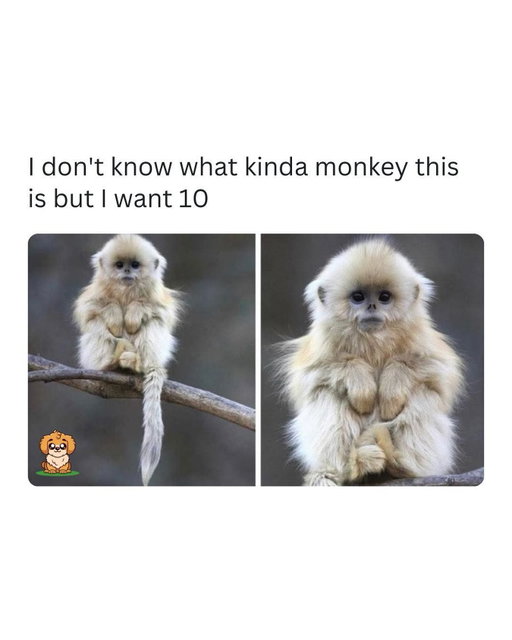 How cute 🥹❤️😭

Like this content? Follow @Fluffy 🐾