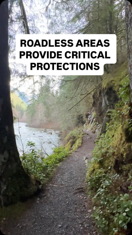 PUBLIC COMMENT PERIOD IS NOW CLOSED ❌

Despite these protections, your public lands aren’t “locked up” and the Roadless Rule doesn’t prevent recreation. There are THOUSANDS upon thousands of recreational miles protected by the Roadless Rule. Those will be at risk if this rule is removed. 

On top of that, the U.S. already has 386K+ miles of forest roads with a huge maintenance backlog of $8.4 billion, so how would they responsibly manage 58 million more acres of land while underfunded and understaffed? Spoiler alert: They won’t. 

ℹ️ More info (and sources) in my pinned post and recent blog posts, linked in my bio. 

🚨Take action TODAY: Leave your public comment supporting the preservation of the Roadless Rule. Click my username, then click the link in my bio OR go to Regulations.gov and search for Docket FS-2025-0001-0001.

🗓️ Deadline: September 19, 2025 

🤔 But will my comment actually matter? YES! If it’s thoughtful! The USDA is required by law to consider public input before finalizing this repeal. That means your voice truly matters. Strong, evidence-based, and personal comments can shape what gets studied in the Draft Environmental Impact Statement (EIS) and can help protect these forests for future generations. 

#roadlessrule #protectpubliclands #protectourforests #nationalforest #publicland #outdoorsforall