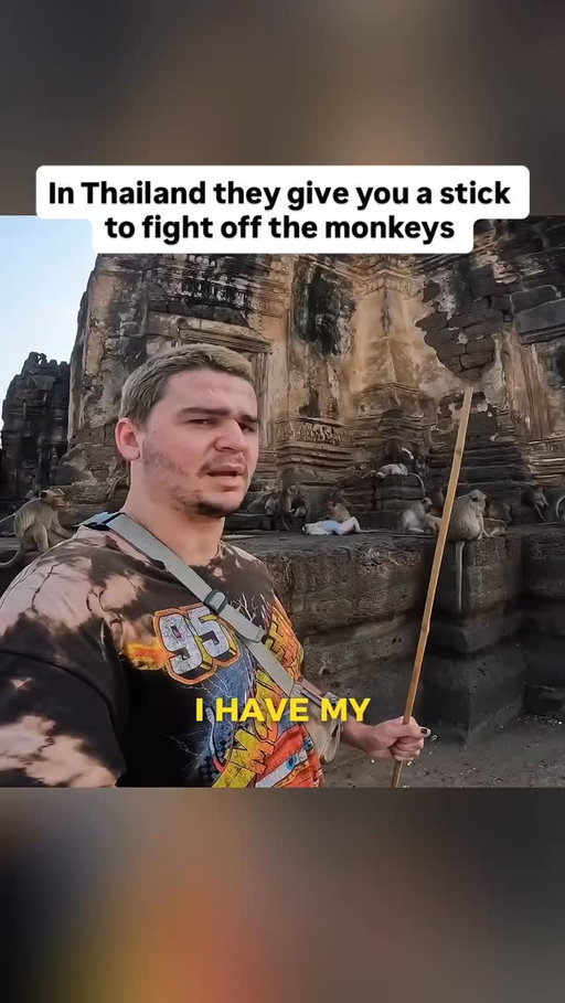 A few years back I visited this temple in Thailand that had been completely overrun by monkeys. The monkey problem got so bad they started giving tourists sticks so they can defend themselves… they don’t work that well.