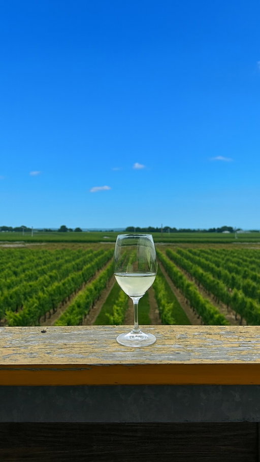 Only two more weekends of summer left, tag who you’re running to the winery with ☀️

Visit us at the Jackson-Triggs Estate. Reservations recommended, walk-ins welcome. Book through the link in our bio.

📍 2145 Niagara Stone Road, Niagara-on-the-Lake, ON