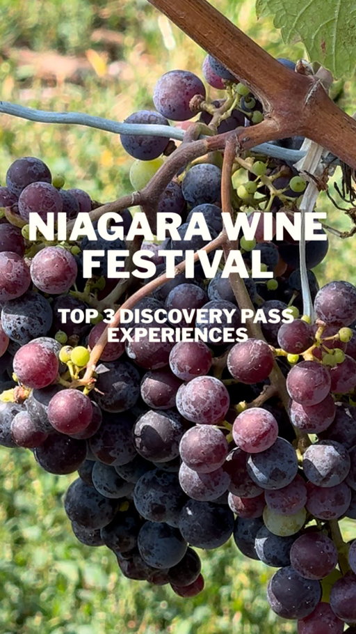 The @niagarawinefest Grape & Wine Discovery Pass is back Sept 12–14 & 19–21 with chef + winemaker collabs: Pinot & Pie at @pellerwines, Rosé & popsicles at @triuswines, and smoky pork sandwiches with Baco Noir at @gretzkyestates. 🍷✨