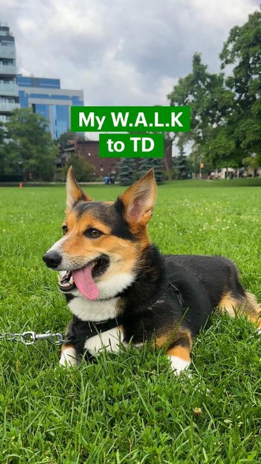 A good walk can make even the ruffest days feel nicer. Share this with someone whose fur-baby needs to get their paws on the Automatic Treat Machine ASAP.