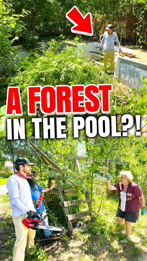 It took the WHOLE NEIGHBORHOOD to uncover this yards SHOCKING SECRET @lawn_care_juggernaut  #mowing #edging #cleanup #asmr #satisfying #sbmowing #cleaning #overgrownyard #fyp #fypシ #viral #viralvideo #transformation #overgrown #maruyama #badboymowers #muckboots