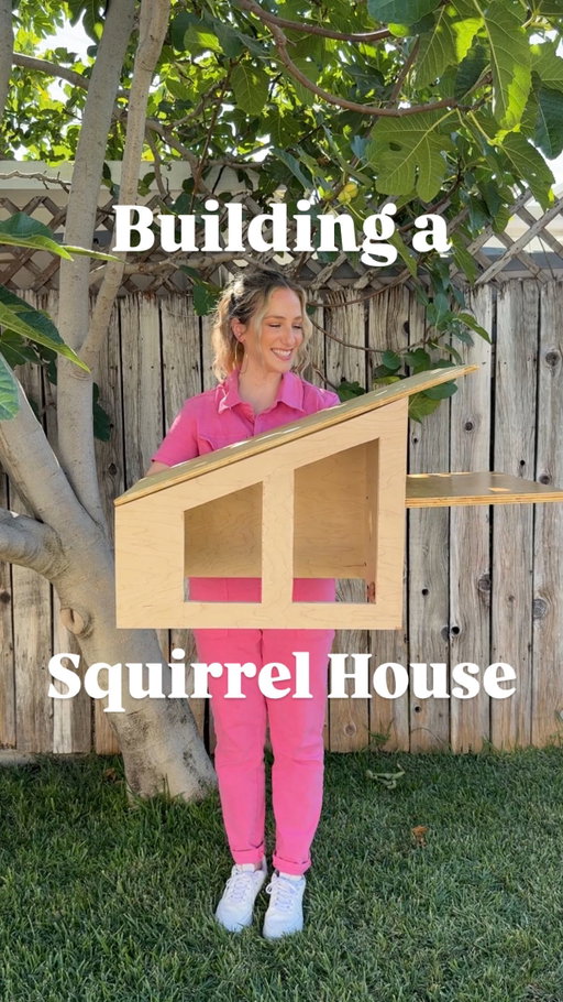 What do they need inside?! 🐿️🥹✨

#squirrellife #squirrelsofinstagram #tinyhome #miniature #miniatures #tinythings #fairyhouse #dollhouse