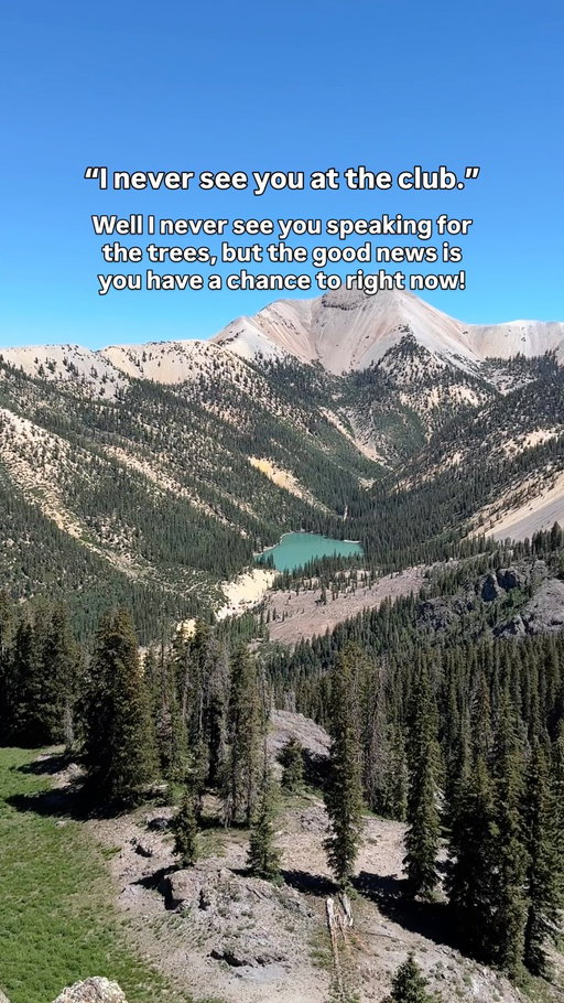 ‼️The public comment period to protect the Roadless Rule closes on September 19th!‼️

This is your last week to provide your thoughts and input to the USDA regarding their plan to rescind the Roadless Rule before they prepare a Draft Environmental Impact Statement.📝

I have an earlier post breaking down the process and what types of information to include in your comment!📣

The Roadless Rule isn’t just about preventing roads from being built or reconstructed (there are actually numerous exceptions for things like wildfire mitigation and public safety).🛣️

It’s really about preventing heedless development in some of our last remaining wild spaces. It’s about protecting watersheds, wildlife habitat, intact forests that provide vital ecosystem services, and recreation access, including over 40,000 miles of hiking trails.🌲

Remember, unless someone like you cares a whole awful lot, nothing is going to get better, it’s not. So use your voice while you have the chance!🗣️

#RoadlessRule #ForestService #EnvironmentalPolicy #NationalForests