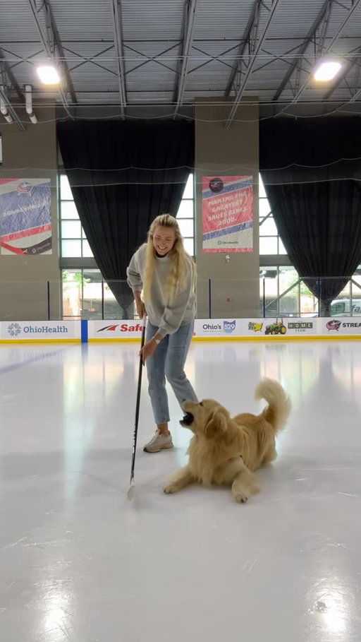 Nothing better than summer hockey + cooling off at the rink 🏒 

#goldenretriever #dayinthelife #funnypets #dogsofinstagram #hockeylife #hockey #nhl #morningroutine #summerhockey