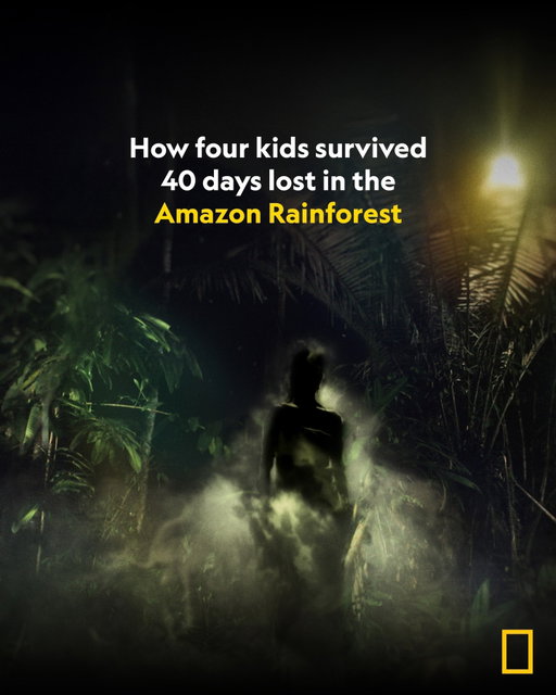 In May of 2023, a plane crash stranded 13-year-old Lesly and her three younger siblings in the rainforest of Colombia. For 40 days and 40 nights, they relied on nothing but each other and knowledge passed down by their ancestors to survive the hostile environment.

For the first time, the four children share their side of this incredible story in #LostInTheJungle, now streaming on @DisneyPlus and @hulu.