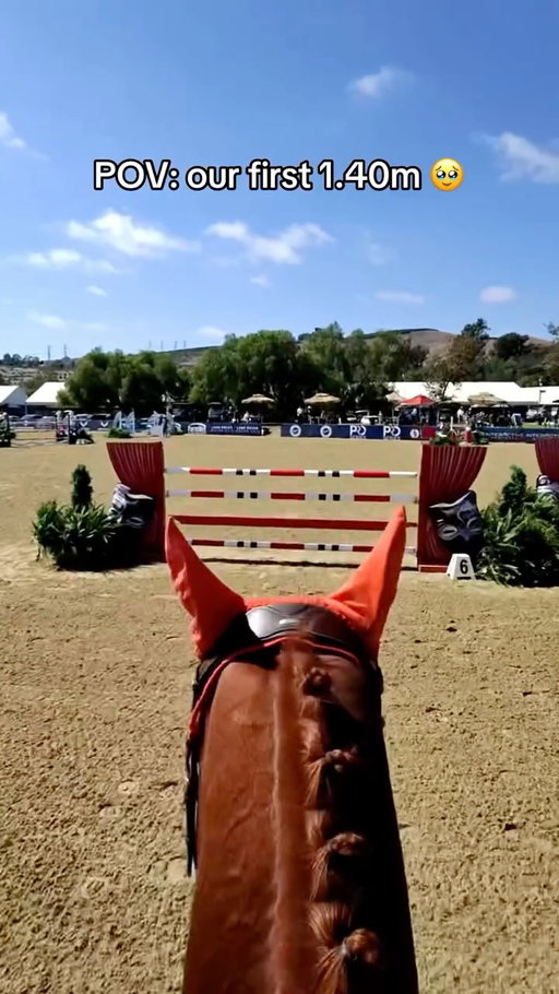 no I literally cried he was amazing 🦄 and most importantly, RIDEABLE and HAPPY! Confident!!! My baby boy stepped up to the big leagues & mama thinks he’s here to stay!! Just 2 down at fences 3 and 9 and I couldn’t care less cause he ate that triple combination up for breakfast lunch and dinnerrrrr 🍽️ 

this was a thrill & a half. I’m so pleased with Ruby and proud of our progress, but above all, our connection 🤍

OGB mentality, always 🫡 (it Only Gets Better)

#equestrian #equestrianlife #equestriansofinstagram #horsetok #horsegirl #adultammy #hunterjumper #horsesofinstagram #horsejumping #horseshow #showjumping #horseshowlife #horselover #povride