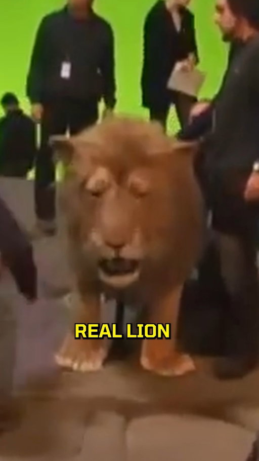 Was Aslan better than the Lion King?

Aslan from "The Chronicles of Narnia" had some CRAZY effects for its day. They simulated 5.2 Million hairs for ONE Lion