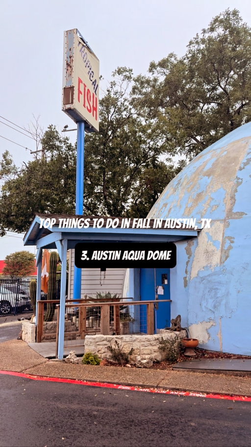 Visiting a childhood favorite @austinaquadome !! We stopped by as a rainy day activity since baby is super into lights and fish now. When Austin doesn’t have a decent aquarium 😫. Thanks @ciaraac for the reminder to go! #atx #austintx