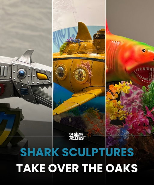 From Sept. 13–28, The Oaks will host Jumping the Shark, a free pop up exhibition featuring 30 incredible shark sculptures, each handcrafted by artists from around the world.

This special collaboration with @sideshow and Shark Allies brings together art, pop culture, and conservation, with donations collected during the event pledged to support shark and ray protection.

Hope to see you there! 

#SharkAllies #JumpingTheShark #SideshowCollectibles #SharkConservation #ArtForOceans #explore