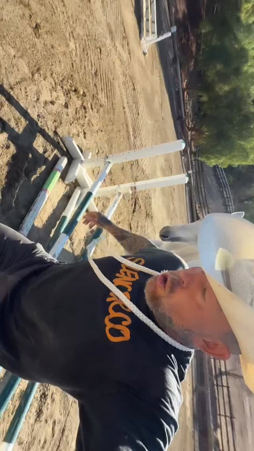 I fell off my horse today. 
He preferred that I do it with him not on top of him today. 
He explained it to me the exact same way I would do to somebody else. 
Duly noted my giant friend 💞🤠