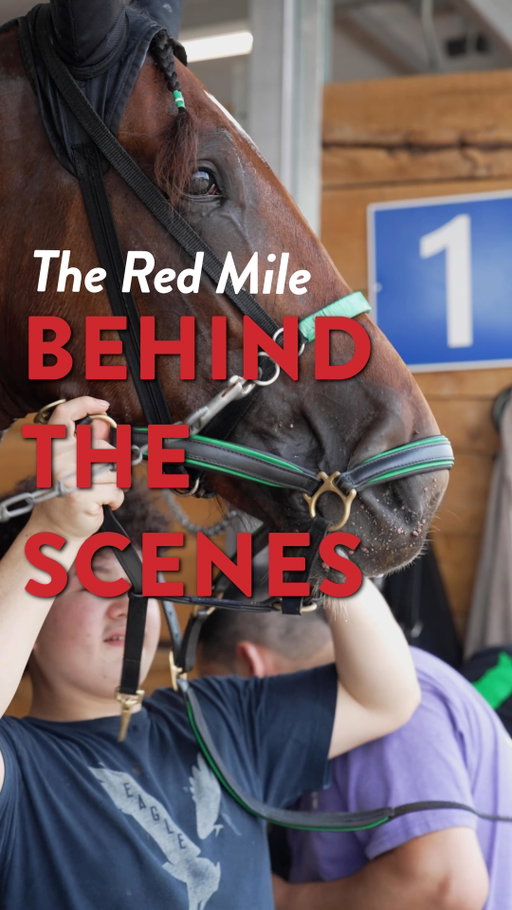 Take a behind-the-scenes look at what goes into a race day at The Red Mile!

From the early morning prep in the stables, to the final touches and the excitement that builds in the grandstands. 

Experience the dedication, teamwork, and tradition that makes each race day unforgettable. ✨

#harnessracing #horseracing #kentucky