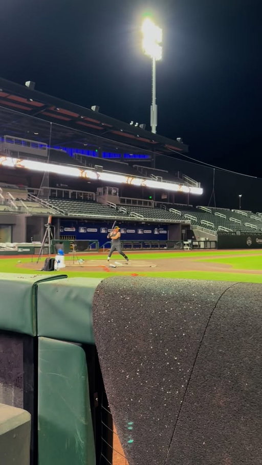 I think we finally found our bat for the next world record attempt…

🎥
@saltlakebees