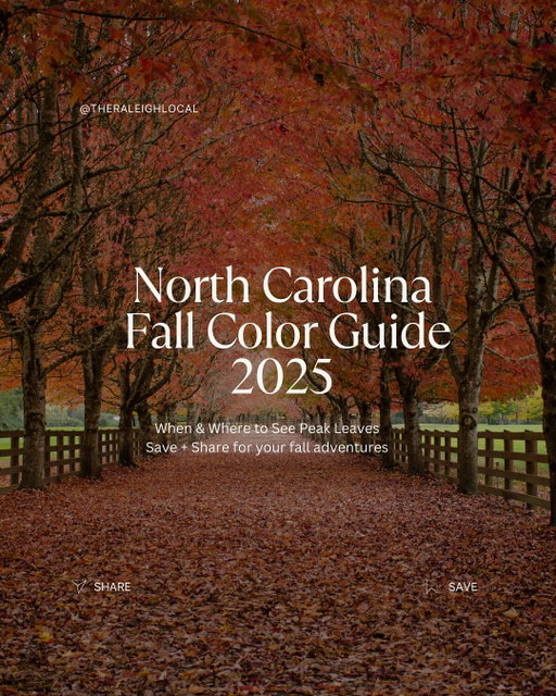 🍂🍁Comment FALL below and I’ll drop the guide into your inbox. Let’s chase the color together!

The air is getting crisp, the mornings are cozy, and those first pops of color are starting to show in the mountains… which means fall in North Carolina is officially here! 🌲🍂

Whether you’re planning a weekend getaway on the Blue Ridge Parkway, chasing waterfalls in Pisgah, or just looking for the perfect spot near Raleigh to crunch leaves underfoot, I’ve done all the work to help you catch peak color this year, no guessing or last-minute scrambling.

📍 Inside my 2025 NC Fall Color Guide you’ll find:
Exact peak dates by elevation so you can plan the perfect trip
My favorite hidden gem spots for avoiding the crowds
Scenic drives, photo-worthy stops, and cozy towns you have to visit
A color map showing when & where to go throughout the season
If you want this year’s guide, it’s simple, just comment “FALL” below and I’ll send it right to you. 🍁