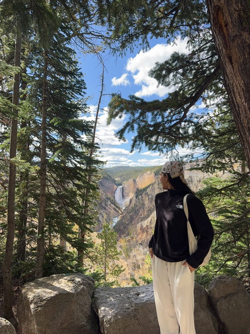 📍Yellowstone