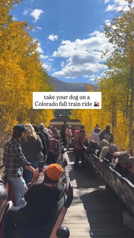 One of the most unique, dog-friendly fall activities in done in Colorado 😍 take your dog on @leadvillerailroad train! Even if you don’t take a dog, the colors are STUNNING — would make a great day trip!

#colorado #denver #dogfriendly
