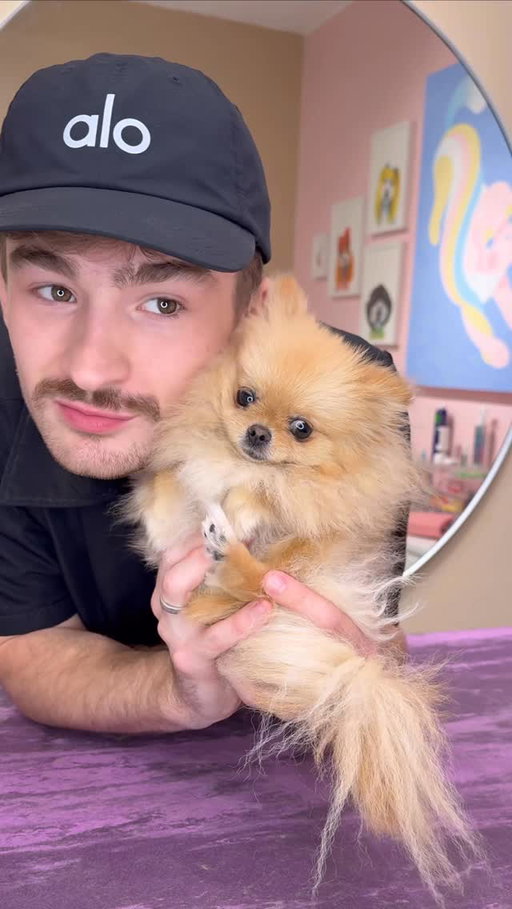 the SMALLEST Pom known to mankind 
.
#pomeranian #dogs #doggrooming #dogsbylogan #cutedogs
